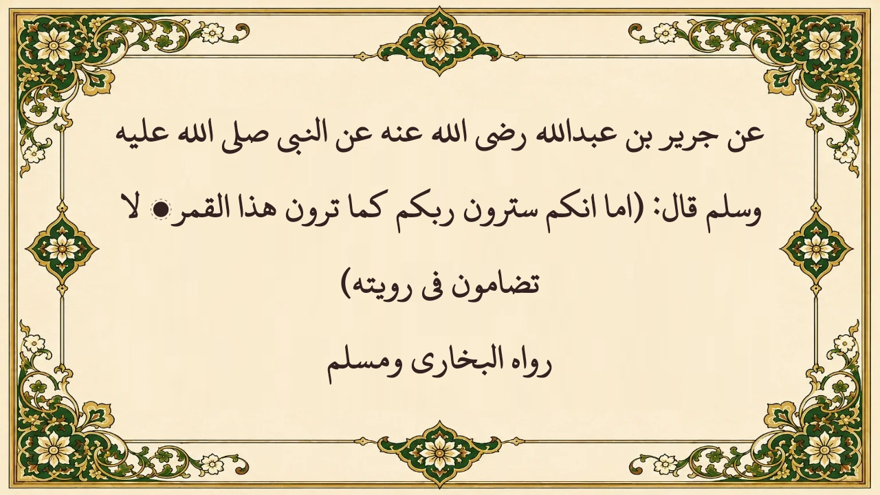واجهة تطبيق التلفاز 6